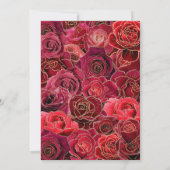 Einladungen Rot, Weiß und Gold Quinceñera (Rückseite)