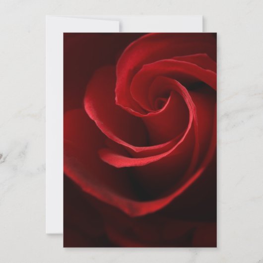 EINLADUNGEN Rote Rose (Vorderseite)