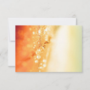 Einladungen & Schreibwaren Antwortkarten