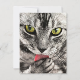 Einladungen Stationery Grußkarten