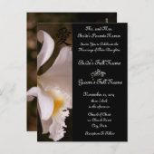 Einladungen und Favoriten für die White Orchid-Hoc (Vorne/Hinten)