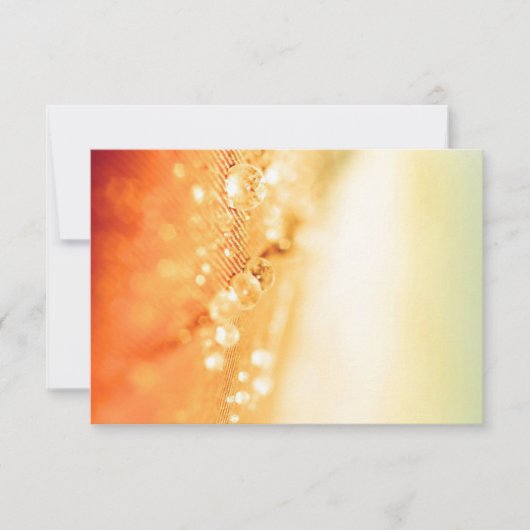 Einladungen und Stationery-RSVP-Karten (Vorderseite)