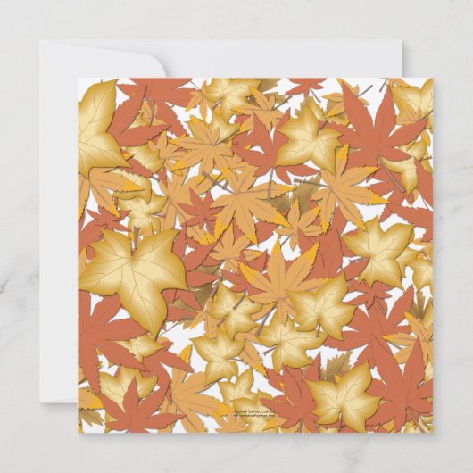 Einladungen vom Herbst zum Platz (Rückseite)