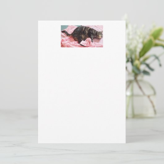 Einladungen von Tailor Dave (Stehend Vorderseite)