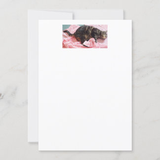 Einladungen von Tailor Dave