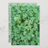 Einladungen zu den weißen, grünen Kleeblättern (Vorne/Hinten)