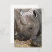 Einladungen zu Horned Rhino (Vorne/Hinten)