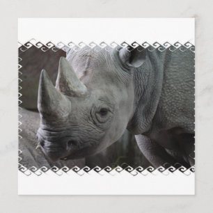 Einladungen zu Rhino Fakten