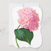 Einladungen zu Rosa Redoute Hydrangea (Rückseite)