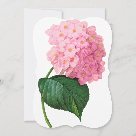 Einladungen zu Rosa Redoute Hydrangea (Rückseite)