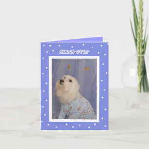 Einladungen zum Geburtstag — Niedlicher Hund