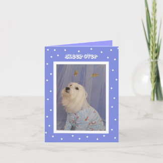 Einladungen zum Geburtstag — Niedlicher Hund