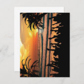 Einladungen zum tropischen Strand (Vorne/Hinten)