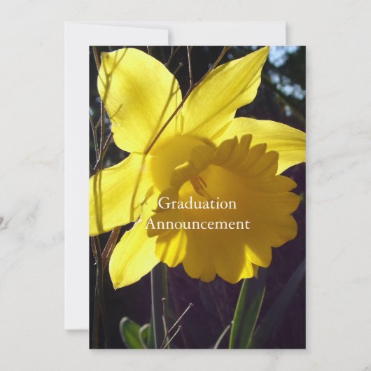 Einladungen zur Blume von Sommerdaffodil (Rückseite)