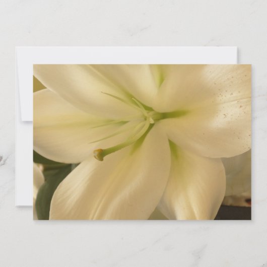 Einladungen zur Blumenhochzeit (Rückseite)