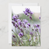 Einladungen zur Bohemischen Brautdusche (Rückseite)