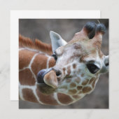 Einladungen zur Giraffe-Zunge (Vorne/Hinten)