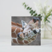 Einladungen zur Giraffe-Zunge (Stehend Vorderseite)