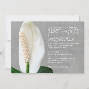 Einladungen zur Hochzeit der Friedenslilie