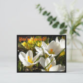 Einladungen zur Postkarte vom Frühjahr (Stehend Vorderseite)