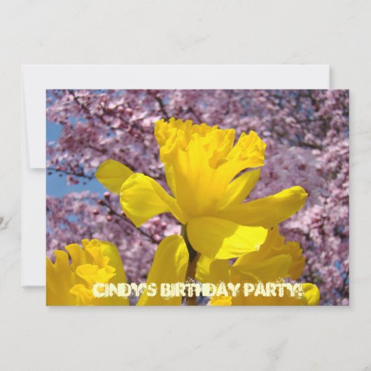 Einladungs-Geburtstags-Party kardiert Einladung (Vorderseite)