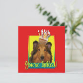 Einladungs-kleiner Kuchen - Collie - Natalie Einladung (Stehend Vorderseite)