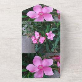 Einladungskarte All In One Einladung