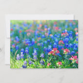 Einladungskarte der Wildblume (Rückseite)