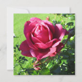 Einladungskarte Einladung (Vorderseite)