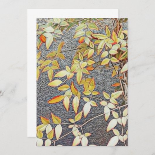 Einladungskarten / (Vorne/Hinten)