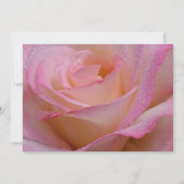 Einladungskarten Schöne Rosa Rose (Rückseite)