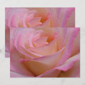 Einladungskarten Schöne Rosa Rose (Vorne/Hinten)