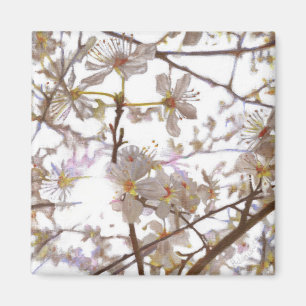 Einleitung 2014 magnet