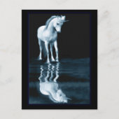 Einlichtreflektionen Postkarten (Vorderseite)