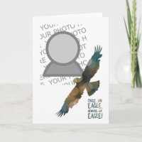 einmal ein Adler immer ein Adler-Foto