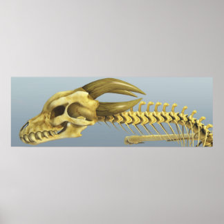 Einmal ein Drache Poster