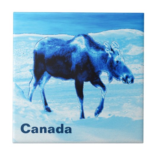 Einmal in einem blauen Elch Fliese (Vorderseite)