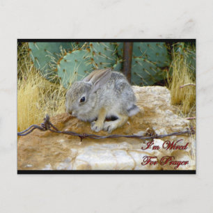 Einmal verloren, aber jetzt bin ich für das Gebet  Postkarte