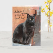 Einmalige Black Cat Miss You Card Karte (Gelbe Blume)