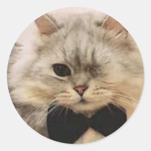 Einmalige mit Augen Katze Runder Aufkleber (Vorderseite)