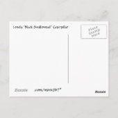Einmalige Raupe "vermissten Sie" Postkarte (Rückseite)