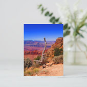 Einmaliger Baum am Grand Canyon in Arizona Postkarte (Stehend Vorderseite)