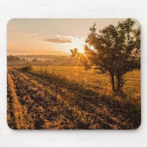 Einmaliger Baum auf dem nebeligen Feld im goldenen Mousepad
