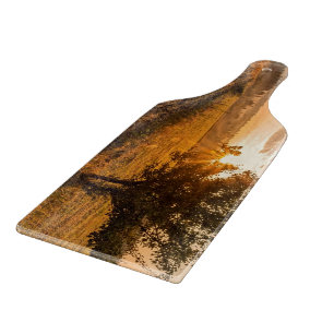 Einmaliger Baum auf dem nebeligen Feld im goldenen Schneidebrett