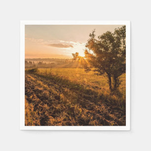 Einmaliger Baum auf dem nebeligen Feld im goldenen Serviette