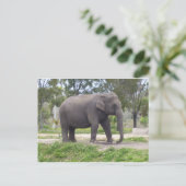 Einmaliger Elefant Postkarte (Stehend Vorderseite)