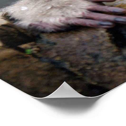 Einmaliger Schneekaffe in Nagano, Japan Poster (Ecke)