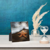 Einmaliger Starfish am Strand Fotoplatte (InSitu)