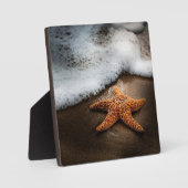 Einmaliger Starfish am Strand Fotoplatte (Vorderseite)