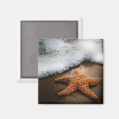 Einmaliger Starfish am Strand Magnet (Vorderseite/Rückseite)
